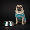 Pet supplies and toys