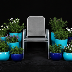 Collection image for: Lawn and Garden