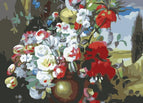 Tuscan Poppy