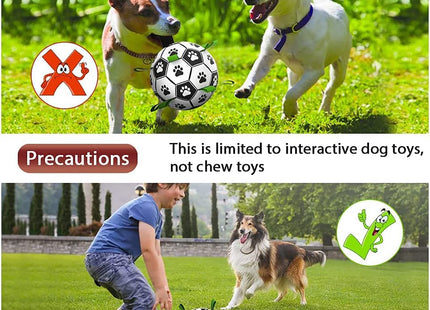Interactive Dog Football Toy Soccer Ball Inflated Training Toy For Dogs Outdoor Border Collie Balls For Large Dogs Pet Supplies