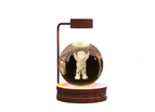 Little Astronauts / Dark wood