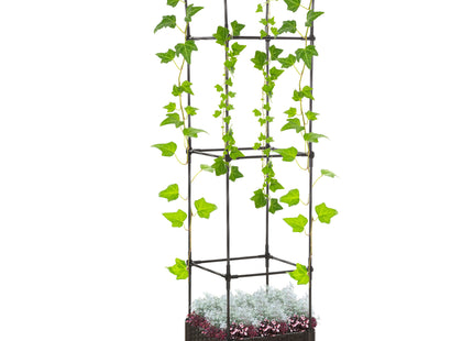 Raised Garden Bed with Trellis, Self-Watering Planter Box, 69.7" Tomato Planters for Climbing Plants Vegetable Vine Flowers