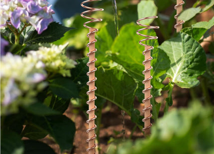 8 Pack 17inch Electroculture Plant Stakes